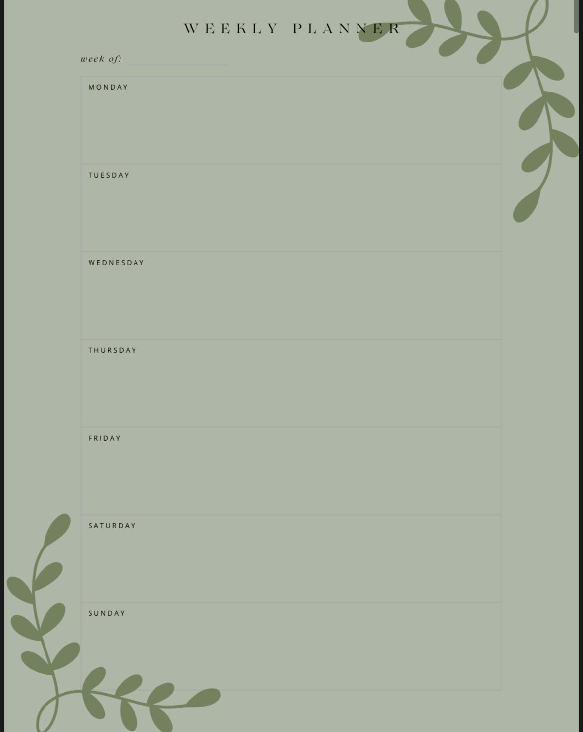 Green Elegant 26/25 Digital Planner